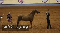 21YN_73109 thumbnail