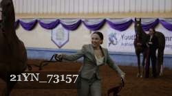 21YN_73157 thumbnail