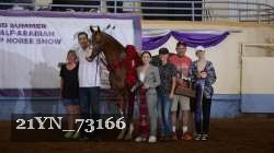 21YN_73166 thumbnail