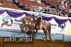 21YN_07311 thumbnail