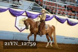21YN_12759 thumbnail