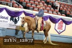 21YN_12877 thumbnail