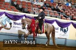 21YN_12944 thumbnail