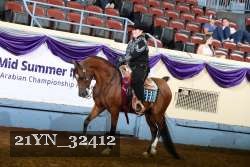 21YN_32412 thumbnail