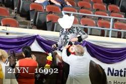 21YN_16992 thumbnail