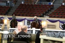 21YN_17006 thumbnail