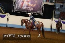 21YN_17007 thumbnail
