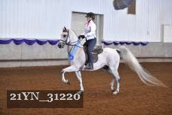 21YN_31220 thumbnail