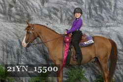 21YN_15500 thumbnail