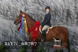 21YN_68787 thumbnail