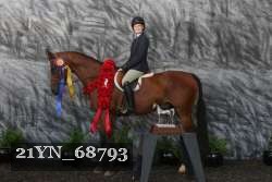 21YN_68793 thumbnail