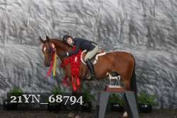 21YN_68794 thumbnail