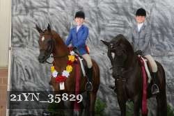 21YN_35829 thumbnail