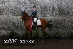 21YN_23732 thumbnail