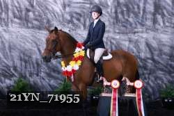 21YN_71955 thumbnail