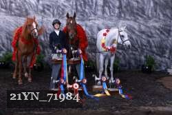 21YN_71984 thumbnail