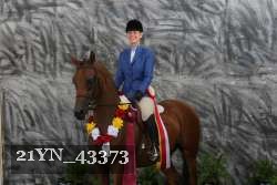 21YN_43373 thumbnail