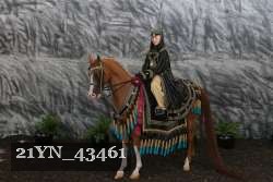21YN_43461 thumbnail