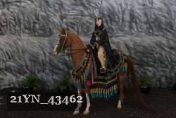 21YN_43462 thumbnail
