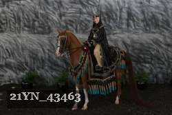 21YN_43463 thumbnail
