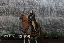 21YN_43469 thumbnail
