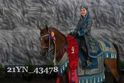 21YN_43478 thumbnail