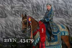 21YN_43479 thumbnail