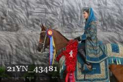 21YN_43481 thumbnail