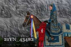 21YN_43482 thumbnail
