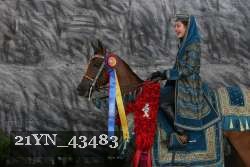 21YN_43483 thumbnail