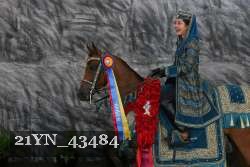21YN_43484 thumbnail