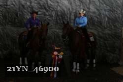 21YN_46900 thumbnail