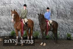 21YN_51733 thumbnail