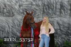 21YN_53752 thumbnail