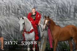 21YN_53988 thumbnail