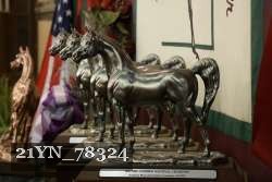 21YN_78324 thumbnail