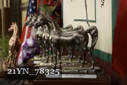 21YN_78325 thumbnail