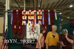 21YN_78327 thumbnail