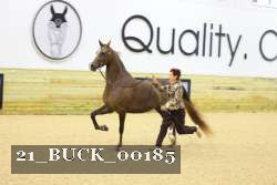 21_BUCK_00185 thumbnail