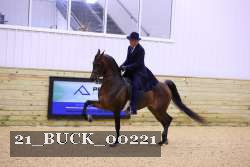 21_BUCK_00221 thumbnail