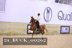 21_BUCK_00262 thumbnail