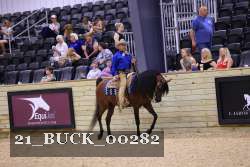 21_BUCK_00282 thumbnail
