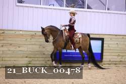 21_BUCK_00478 thumbnail