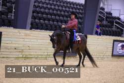 21_BUCK_00521 thumbnail