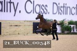 21_BUCK_00548 thumbnail