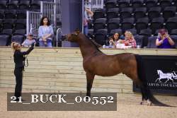 21_BUCK_00552 thumbnail
