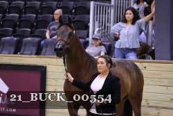 21_BUCK_00554 thumbnail