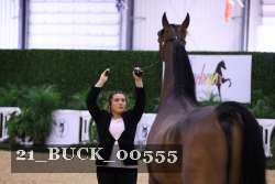 21_BUCK_00555 thumbnail