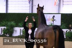 21_BUCK_00556 thumbnail