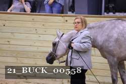 21_BUCK_00558 thumbnail